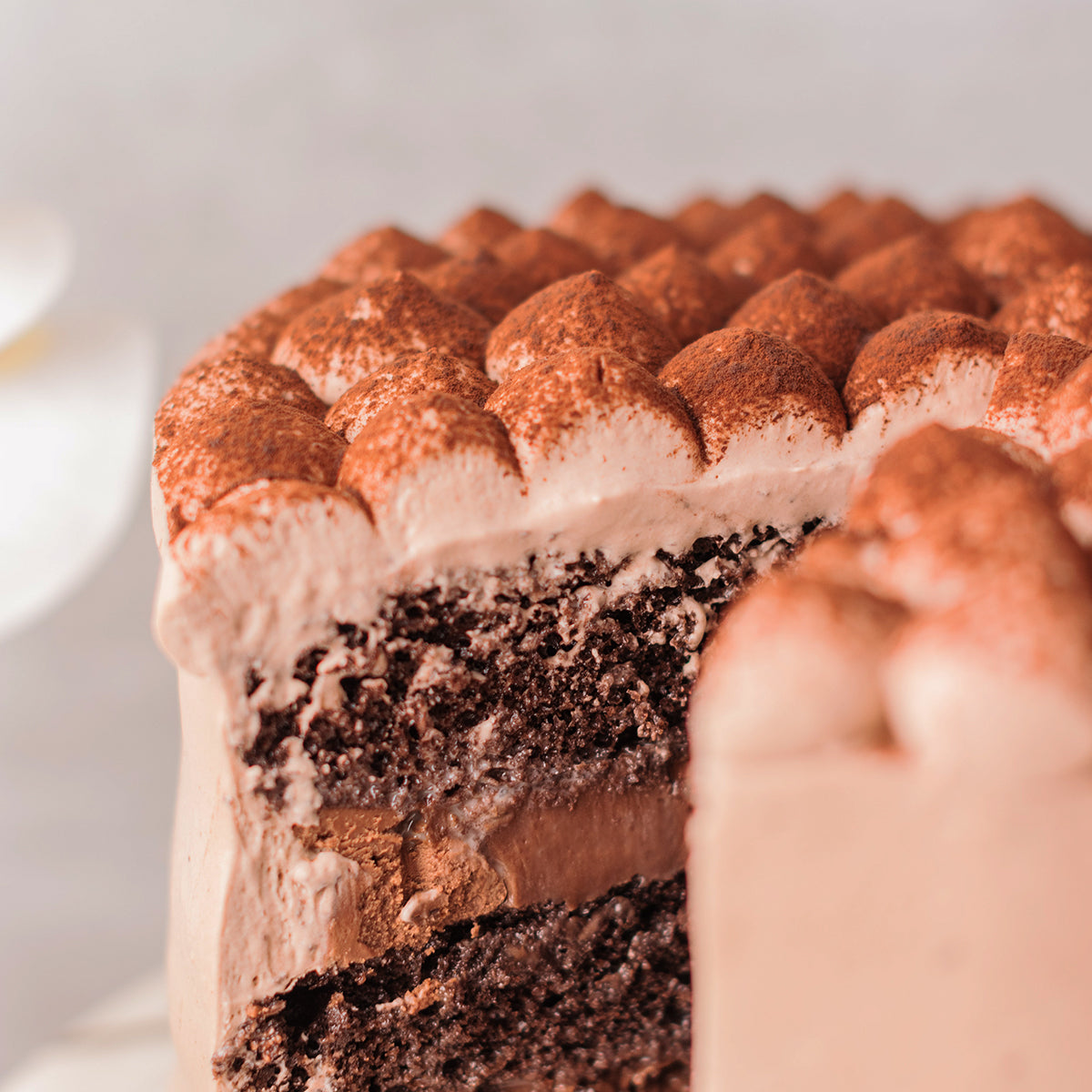 Chocolate custard cake | RecipeTin Eats